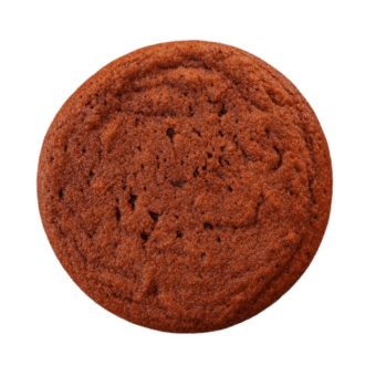Tarrazu Pecan Praline Cookie